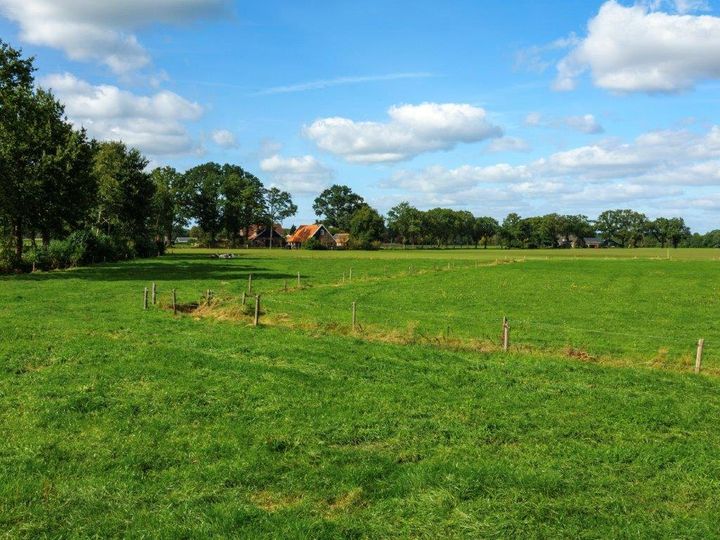 Zicht over het grasland