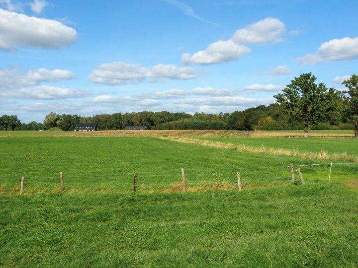 Grasland naast het erf