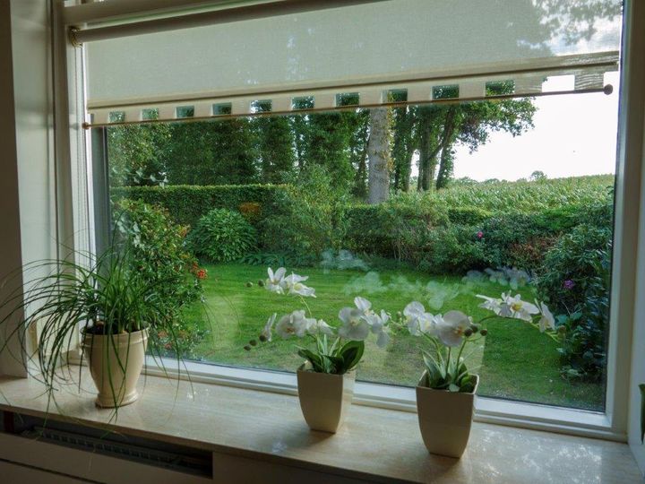 Uitzicht vanuit de woonkamer